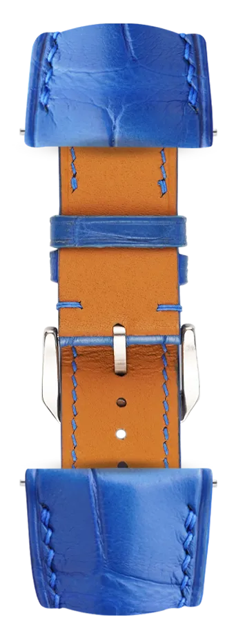 Classic_Alligator_Blue