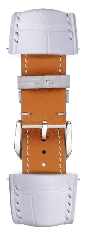 Classic_Alligator_White